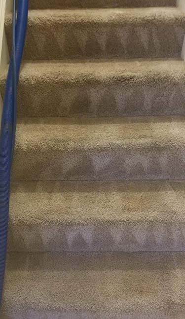 Stairs carpet cleaning after
