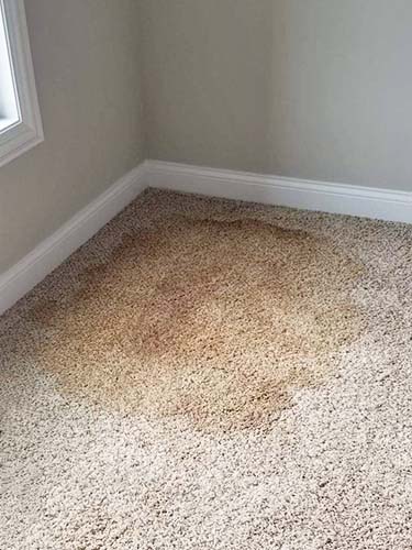 corner carpet stain