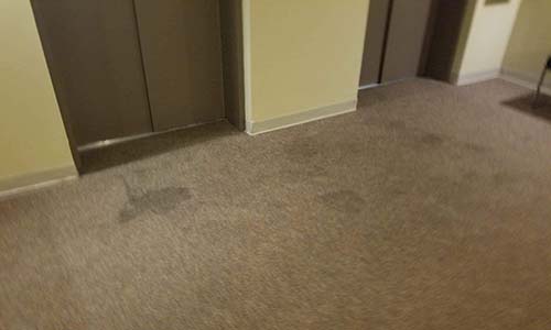 commercial carpet cleaning elevator area before